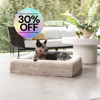 Cover Rabbit Fur Pearl Cover: Rabbit Fur