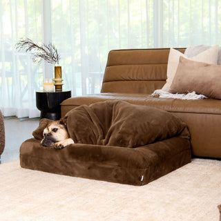 Faux Fur Lounger - Chocolate