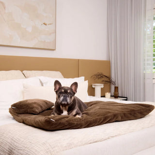 Faux Fur Lounger - Chocolate