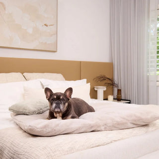 Faux Fur Lounger - Pearl
