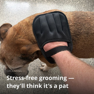 Pet Hair Remover Glove