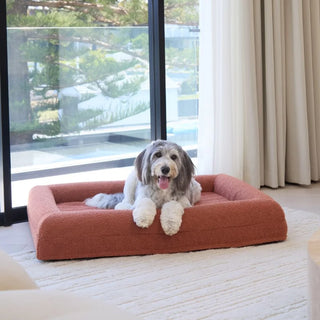 Large Bed with Extra Cover Bundle Bundle