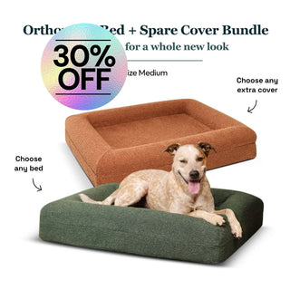Medium Bed with Extra Cover Bundle Bundle