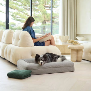 Medium Bed with Extra Cover Bundle Bundle