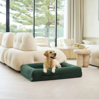 Medium Bed with Extra Cover Bundle Bundle