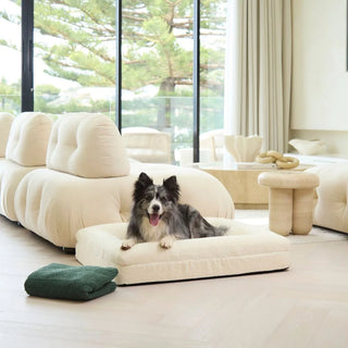 Medium Bed with Extra Cover Bundle Bundle