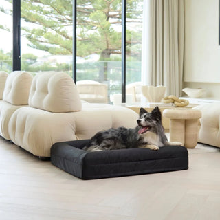 Memory Foam Dog Bed Armour Black Armour
