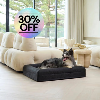 Memory Foam Dog Bed Armour Black Armour