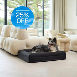 Memory Foam Dog Bed Armour Black Armour