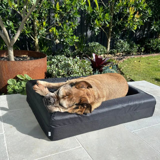 Memory Foam Dog Bed Armour Black Armour