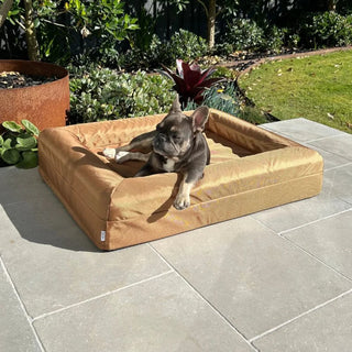 Memory Foam Dog Bed Armour Hamilton Brown Armour