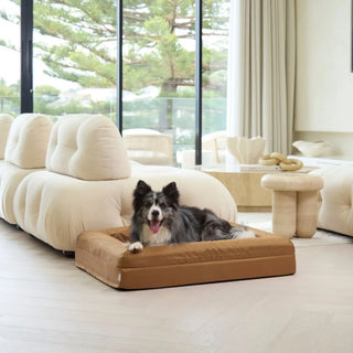 Memory Foam Dog Bed Armour Hamilton Brown Armour