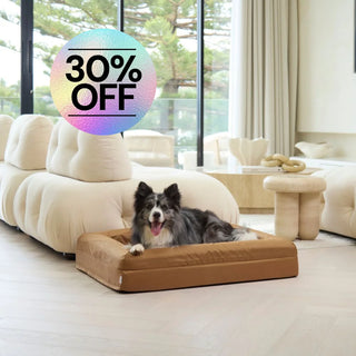 Memory Foam Dog Bed Armour Hamilton Brown Armour