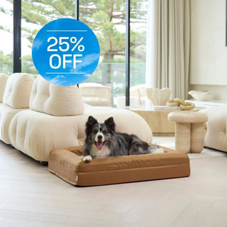 Memory Foam Dog Bed Armour Hamilton Brown Armour