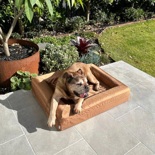 Memory Foam Dog Bed Armour Hamilton Brown Armour