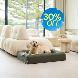 Memory Foam Dog Bed Armour Pine Green Armour