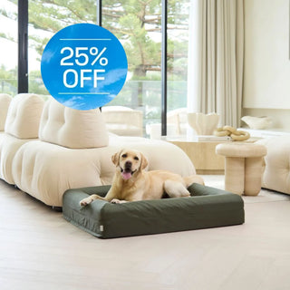 Memory Foam Dog Bed Armour Pine Green Armour