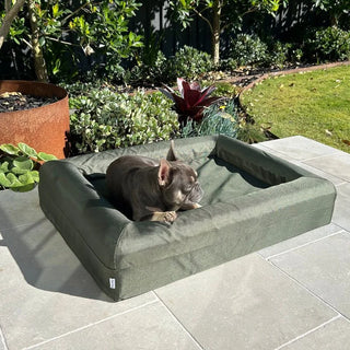 Memory Foam Dog Bed Armour Pine Green Armour