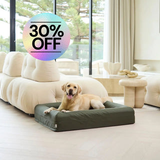 Memory Foam Dog Bed Armour Pine Green Armour