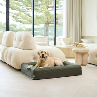 Memory Foam Dog Bed Armour Pine Green Armour