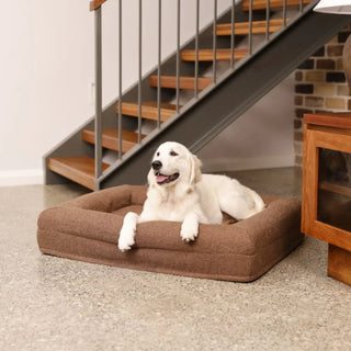 Memory Foam Dog Bed - Boucle Cocoa Bouclé