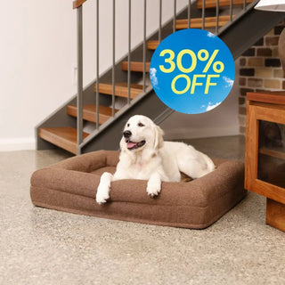 Memory Foam Dog Bed - Boucle Cocoa Bouclé