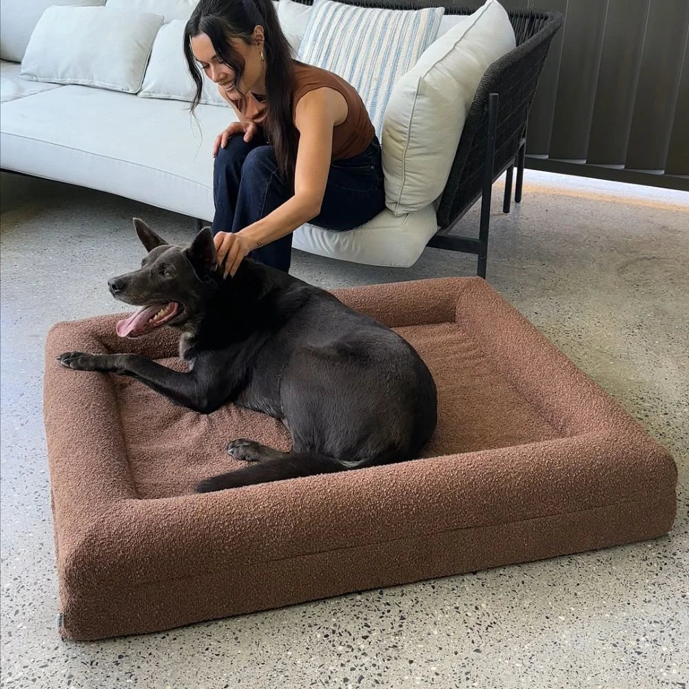 Memory Foam Dog Bed - Boucle Cocoa Bouclé