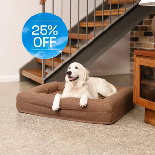 Memory Foam Dog Bed - Boucle Cocoa Bouclé