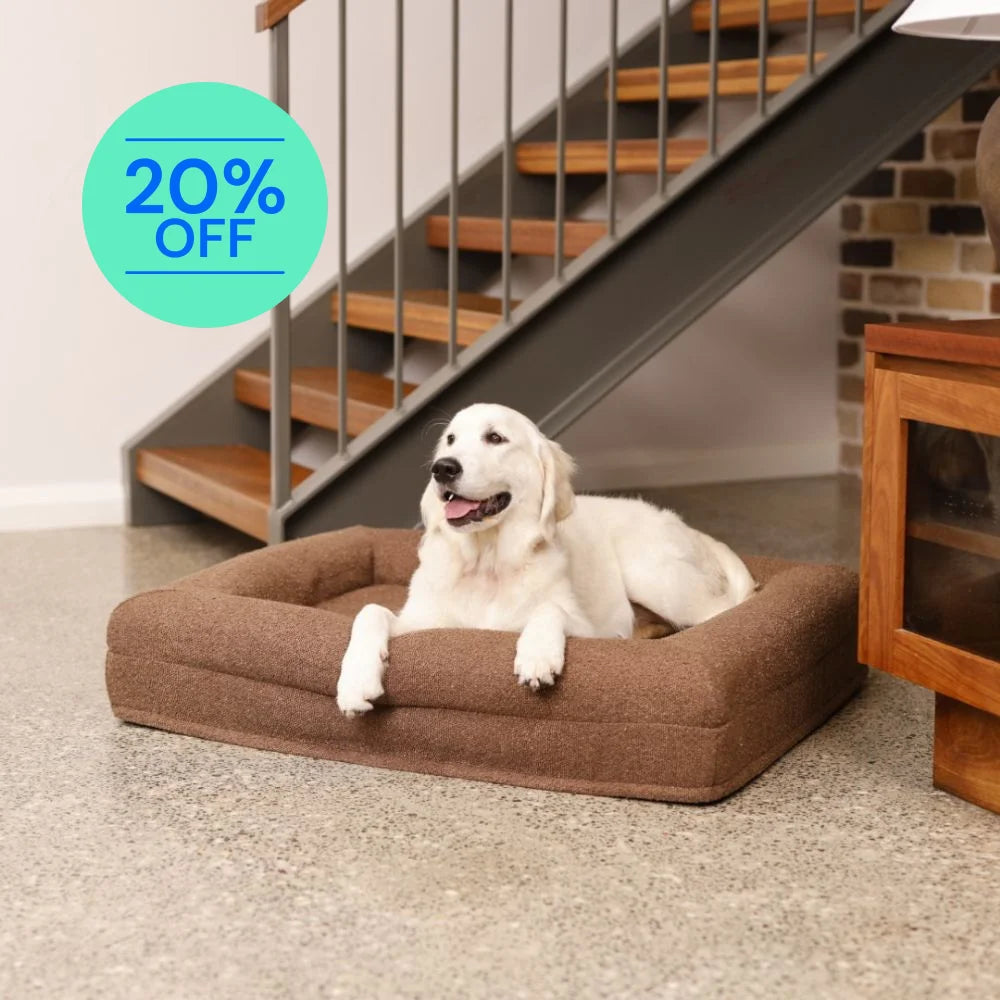 Memory Foam Dog Bed - Boucle Cocoa Bouclé