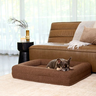 Memory Foam Dog Bed - Boucle Cocoa Bouclé