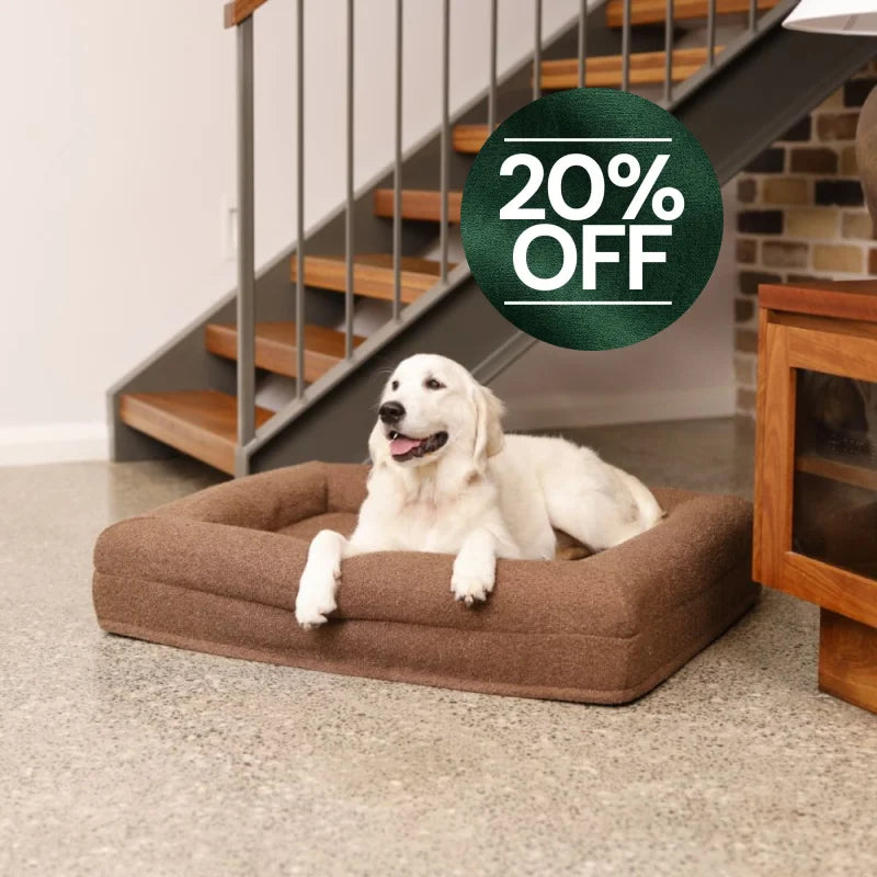 Memory Foam Dog Bed - Boucle Cocoa Bouclé