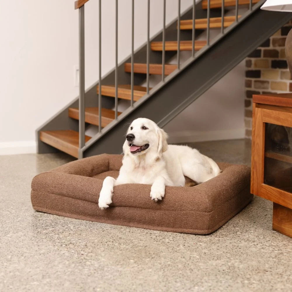 Memory Foam Dog Bed - Boucle Cocoa Bouclé