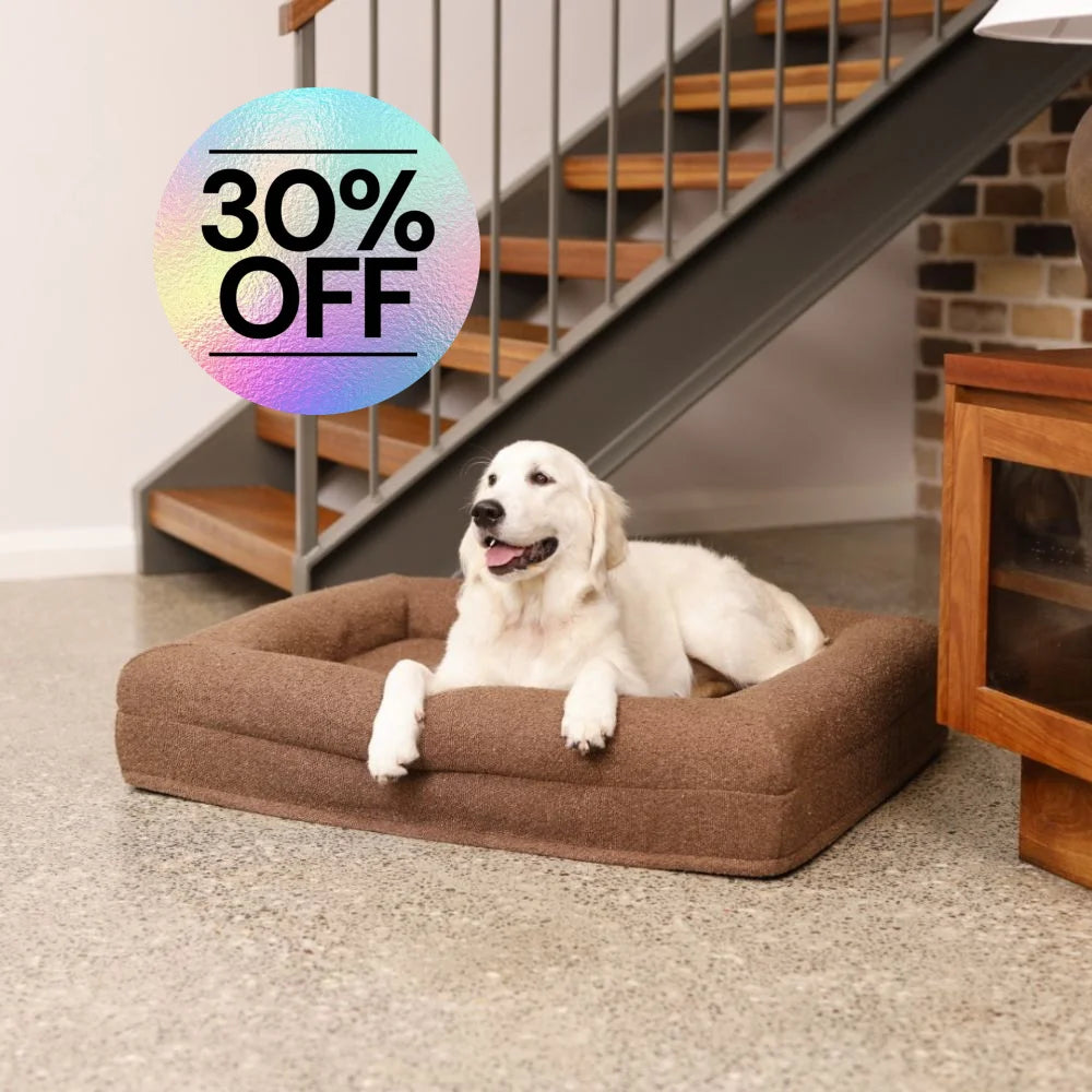 Memory Foam Dog Bed - Boucle Cocoa Bouclé