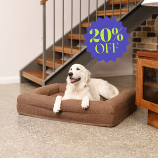 Memory Foam Dog Bed - Boucle Cocoa Bouclé