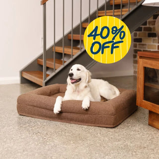 Memory Foam Dog Bed - Boucle Cocoa Bouclé