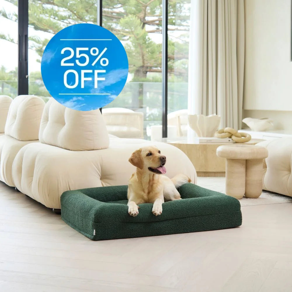 Memory Foam Dog Bed - Boucle Forest Green Bouclé