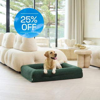 Memory Foam Dog Bed - Boucle Forest Green Bouclé