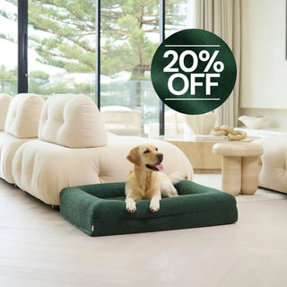 Memory Foam Dog Bed - Boucle Forest Green Bouclé