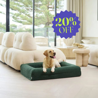 Memory Foam Dog Bed - Boucle Forest Green Bouclé