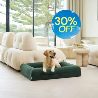 Memory Foam Dog Bed - Boucle Forest Green Bouclé