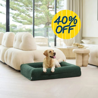 Memory Foam Dog Bed - Boucle Forest Green Bouclé