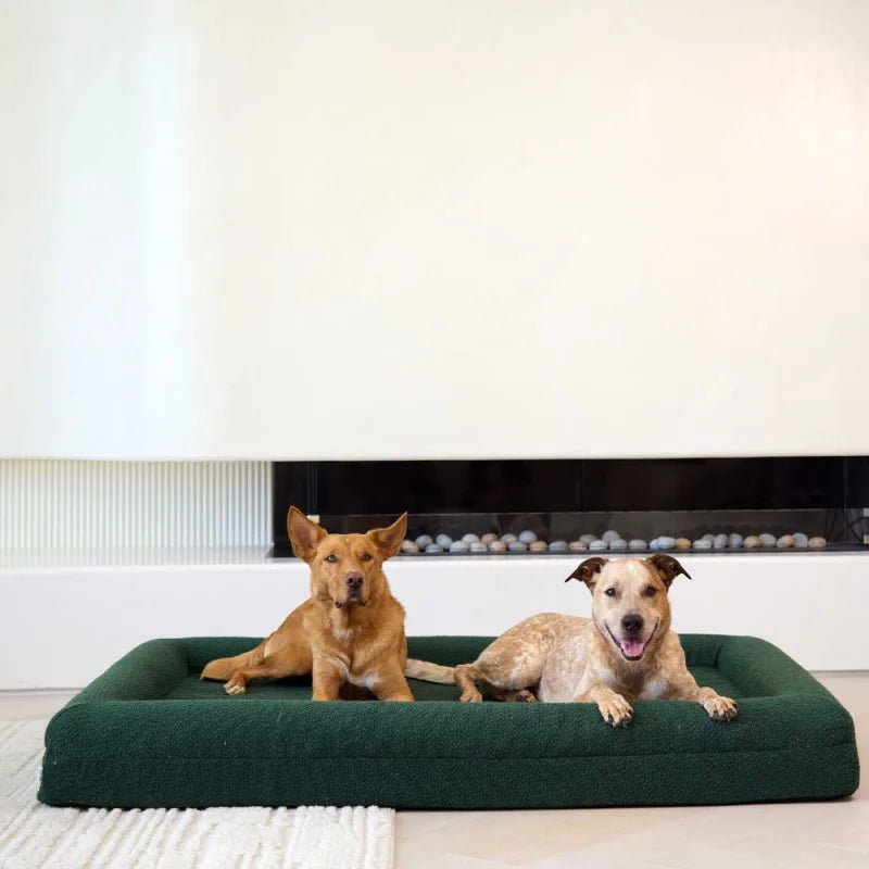 Memory Foam Dog Bed - Boucle Forest Green Bouclé