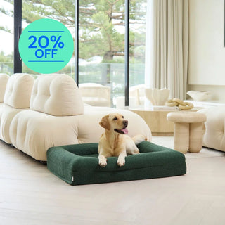 Memory Foam Dog Bed - Boucle Forest Green Bouclé