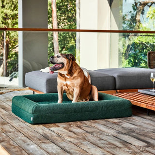 Memory Foam Dog Bed - Boucle Forest Green Bouclé