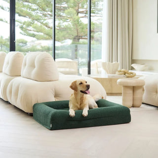 Memory Foam Dog Bed - Boucle Forest Green Bouclé