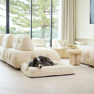 Memory Foam Dog Bed - Boucle Ivory Bouclé