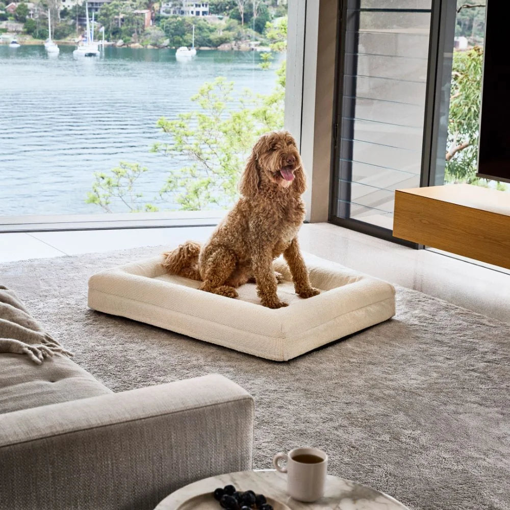 Memory Foam Dog Bed - Boucle Ivory Bouclé