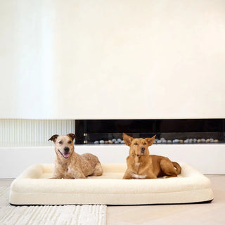 Memory Foam Dog Bed - Boucle Ivory Bouclé