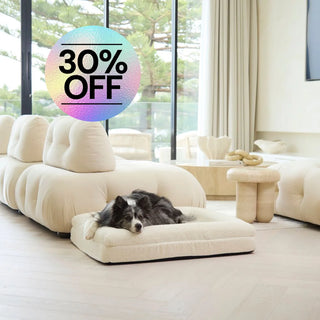 Memory Foam Dog Bed - Boucle Ivory Bouclé