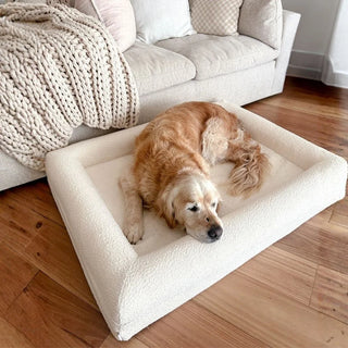Memory Foam Dog Bed - Bouclé Ivory Bouclé